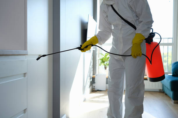 Best Office Mold Removal Services  in Mason City, IA