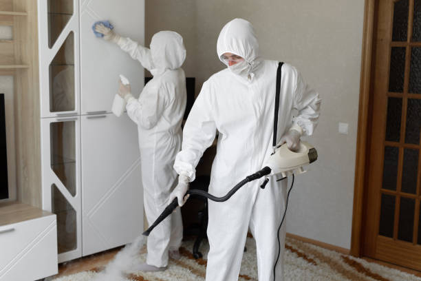 Best Mold Removal Specialists  in Mason City, IA