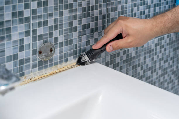 Best Mold Remediation Experts  in Mason City, IA
