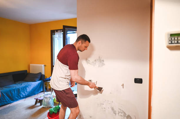 Best Toxic Mold Removal  in Mason City, IA
